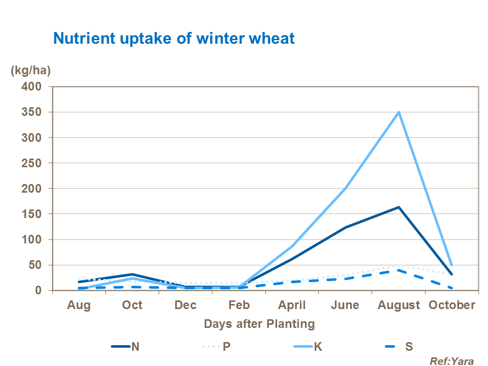 Winter Wheat Growth Stages Chart