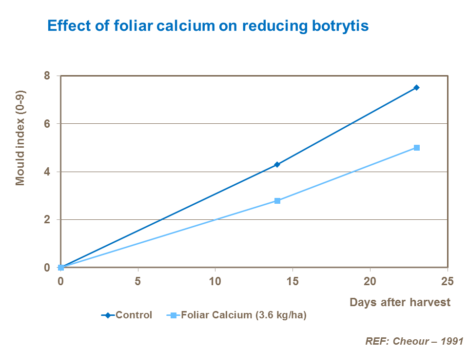 Effect of foliar calcium on reducing botrytis