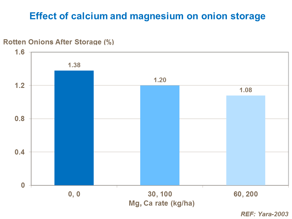 Effect of calcium and magnesium on onion storage