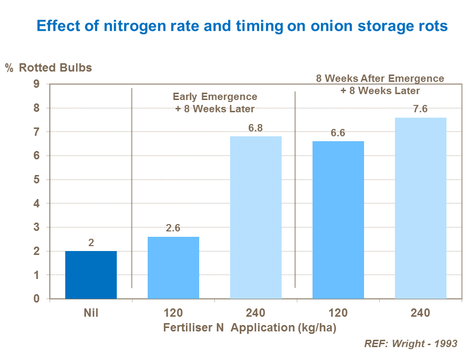 Effect of nitrogen rate and timing on onion storage rots