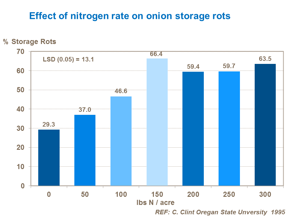 Effect of nitrogen rate on onion storage rots