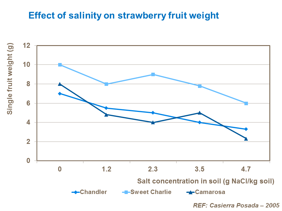 Effect of salinity on strawberry fruit weight