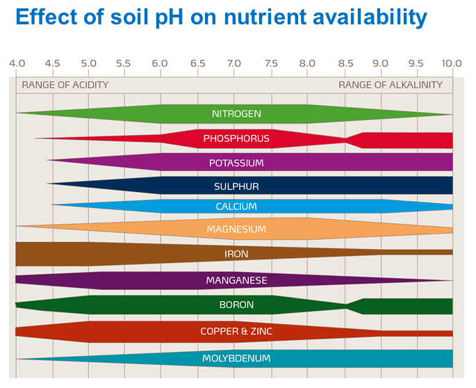 Effect of soil pH on nutrient availability