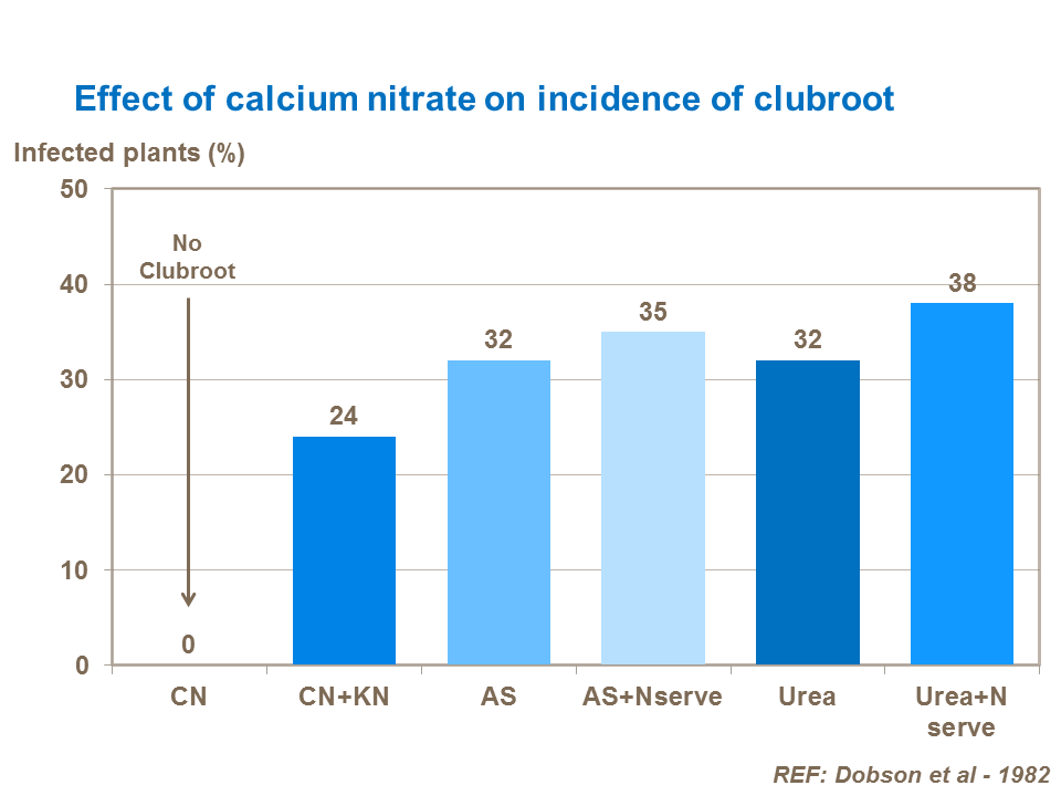 Effect of calcium nitrate on incidence of clubroot