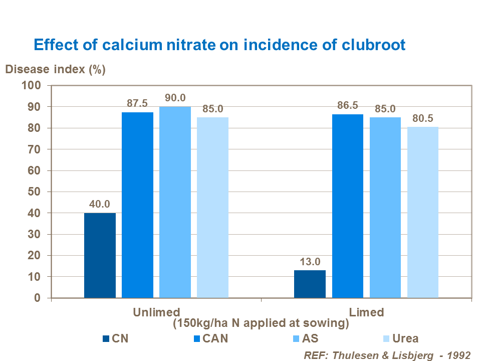 Effect of calcium nitrate on severity of clubroot