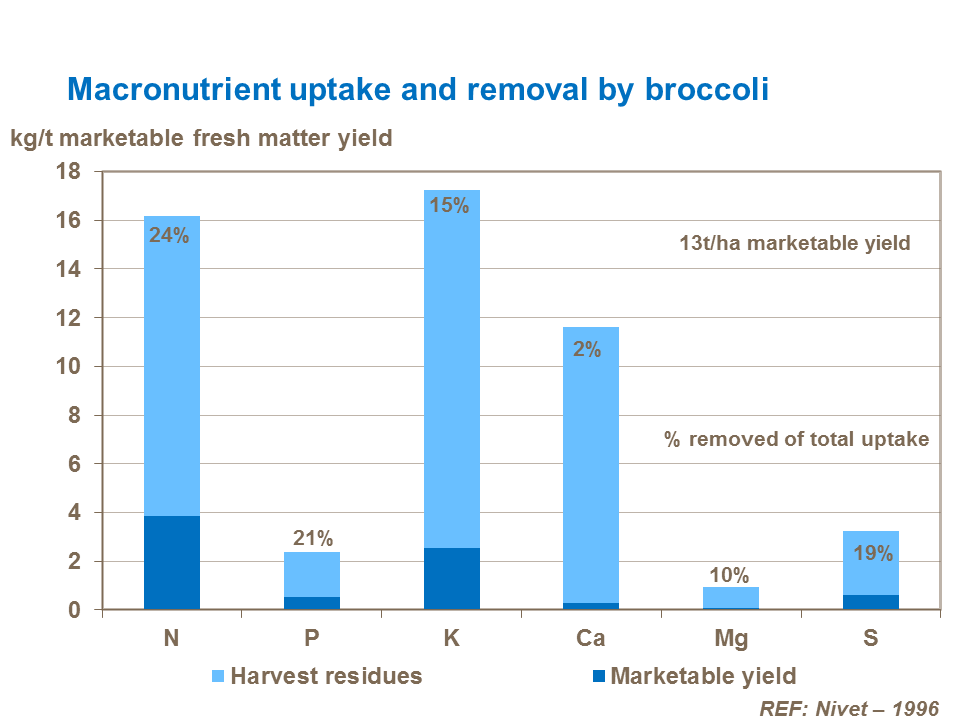 Macronutrient uptake and removal by broccoli