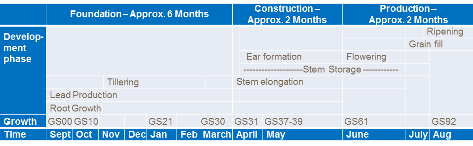 Wheat Growth Stages Chart