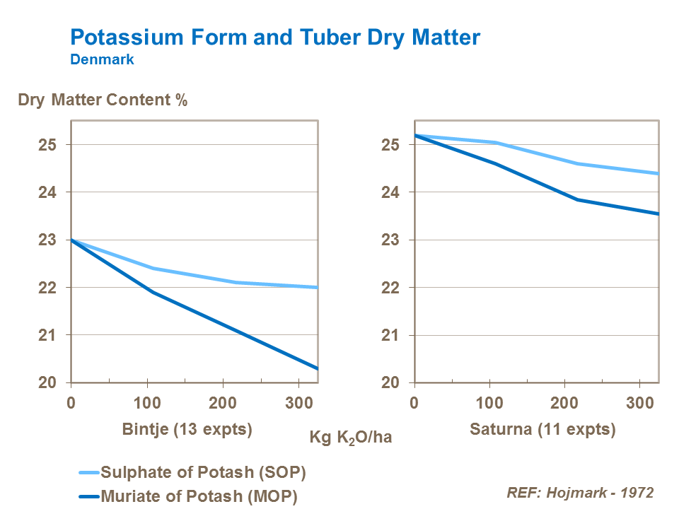 Potassium form and tuber dry matter content