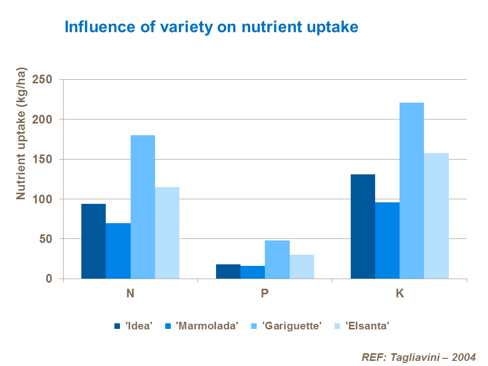 Influence of variety on nutrient uptake