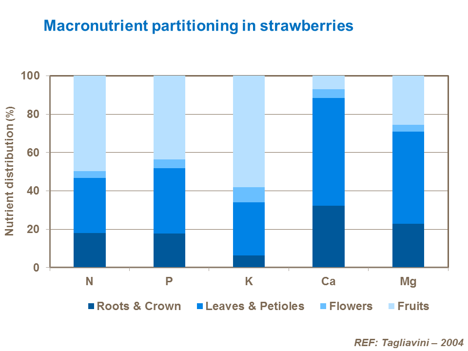 Macronutrient partitioning in of strawberries