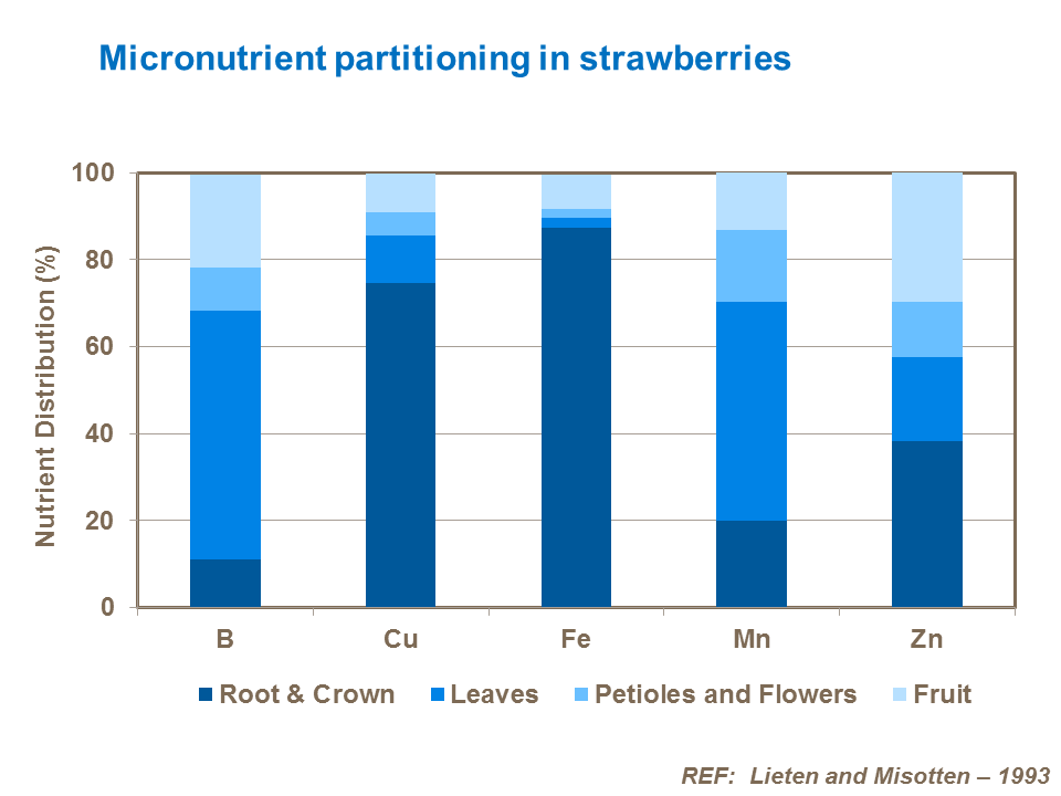 Micronutrient partitioning in strawberries