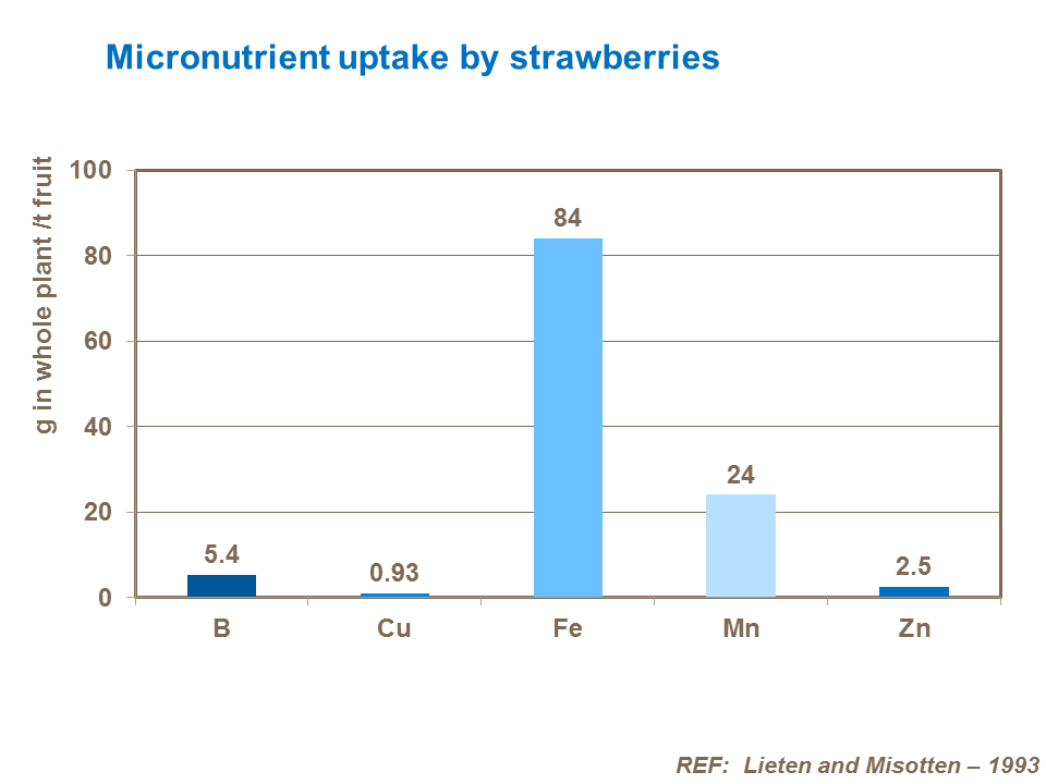 Micronutrient uptake by strawberries