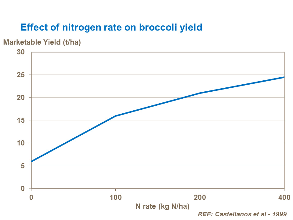 Effect of nitrogen rate on broccoli yield