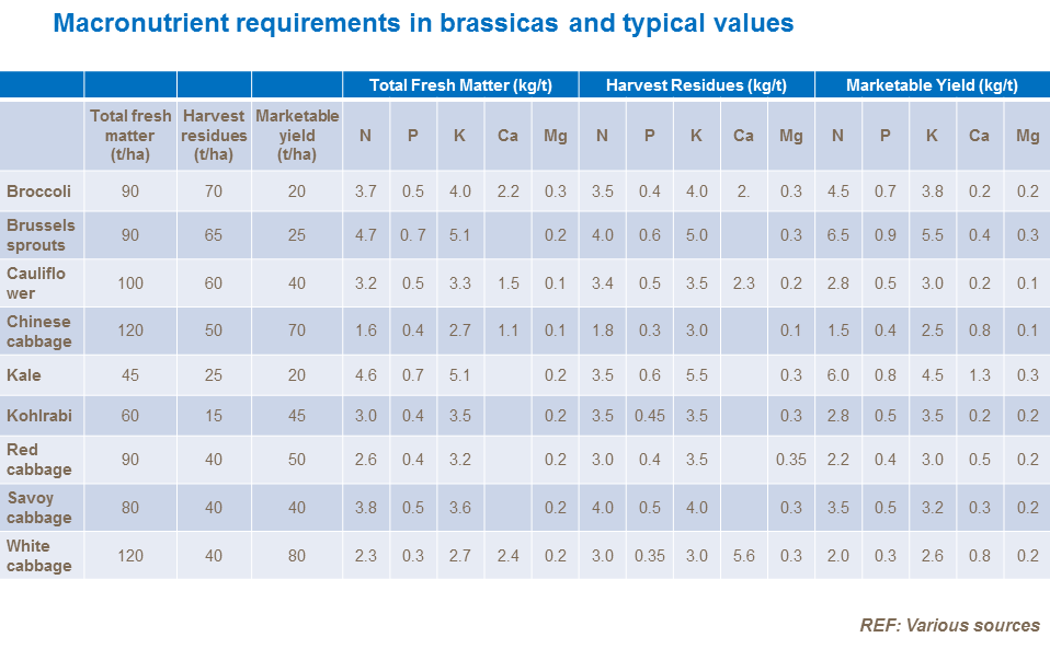 Macronutrient requirements in brassicas and typical values