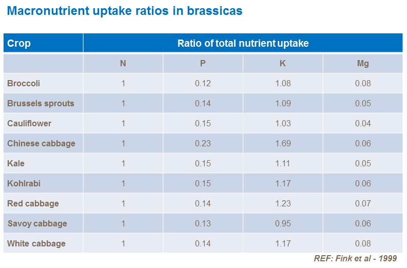 Macronutrient uptake ratios in brassicas