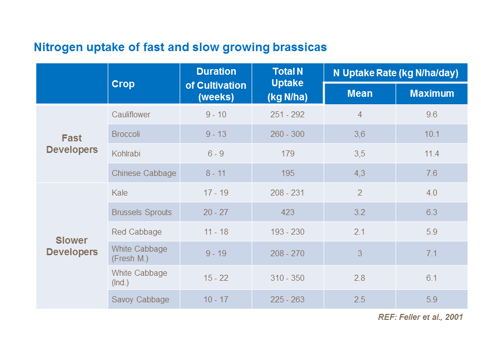 Nitrogen uptake of fast and slow growing brassicas