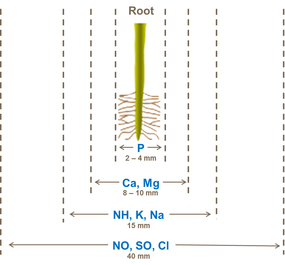 Distances roots can uptake nutrients