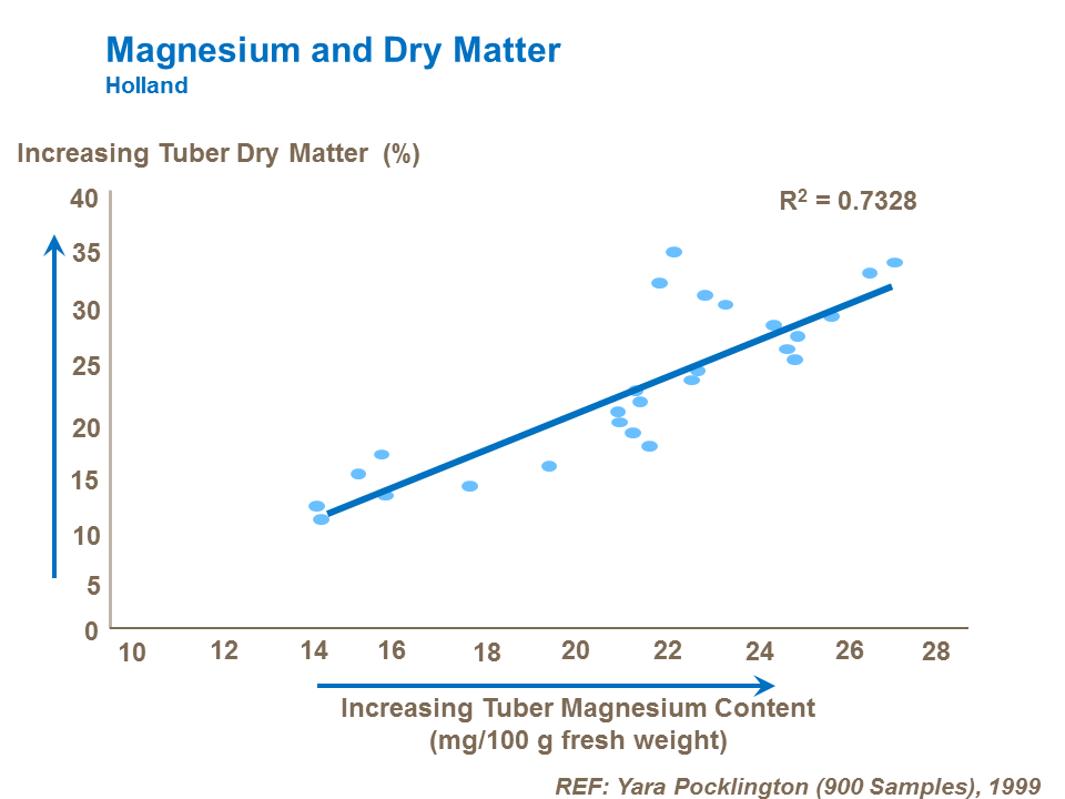 Effect of magnesium on poato dry matter content