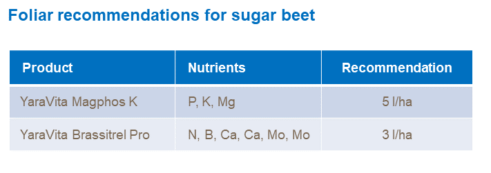 Sugar beet foliar recomendations