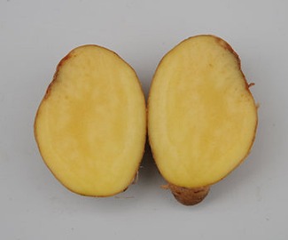 Potato discolouration