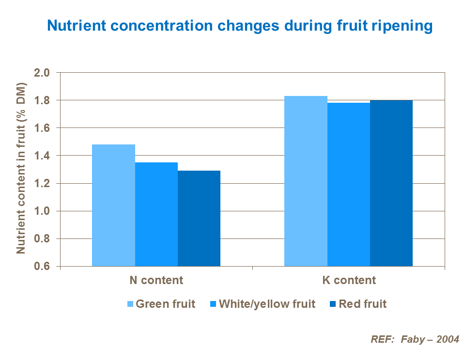 Nutrient concentration changes during fruit ripening