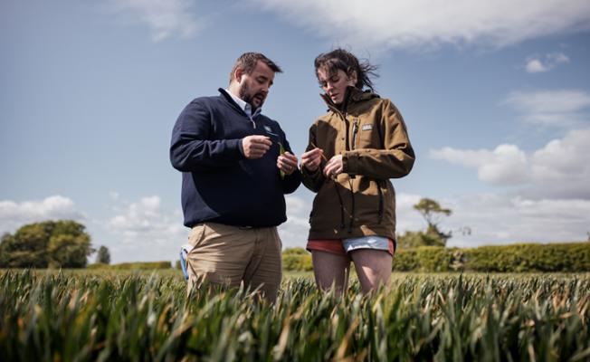 Yara Agronomist and Farmer reviewing a crop in a field 