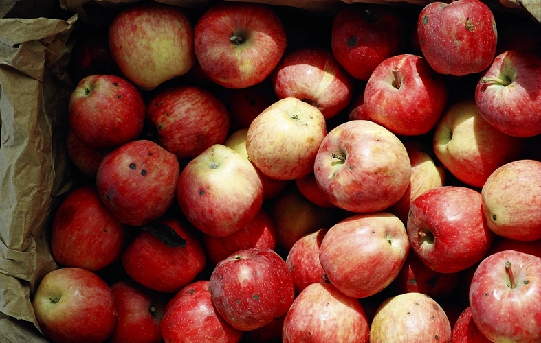 Calcium deficiency: Apples
