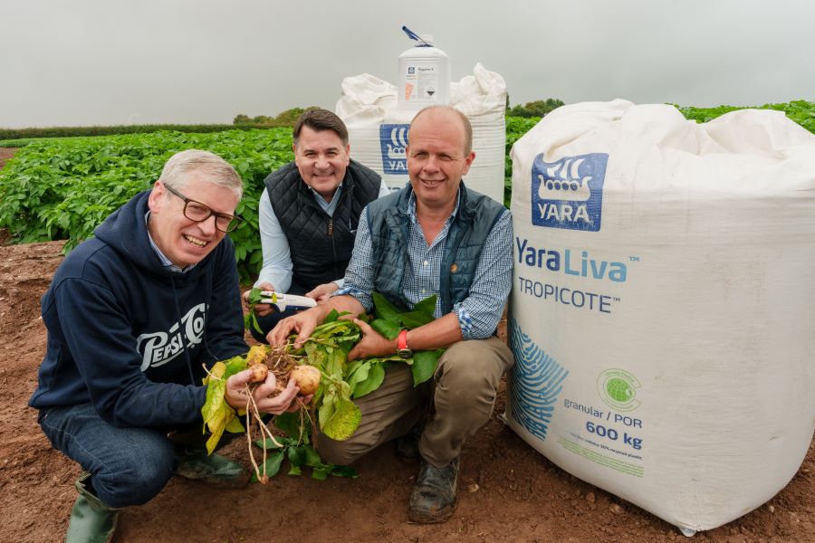 Farmer, Yara Agronomist and Pepsico staff in a potato field holding potatoes with Yaraliva fertiliser product 