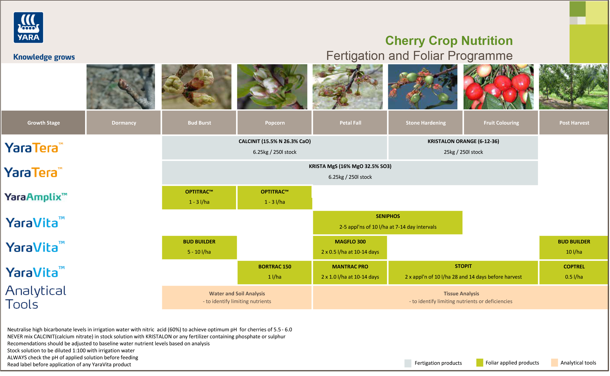 Cherry fertigation  programme