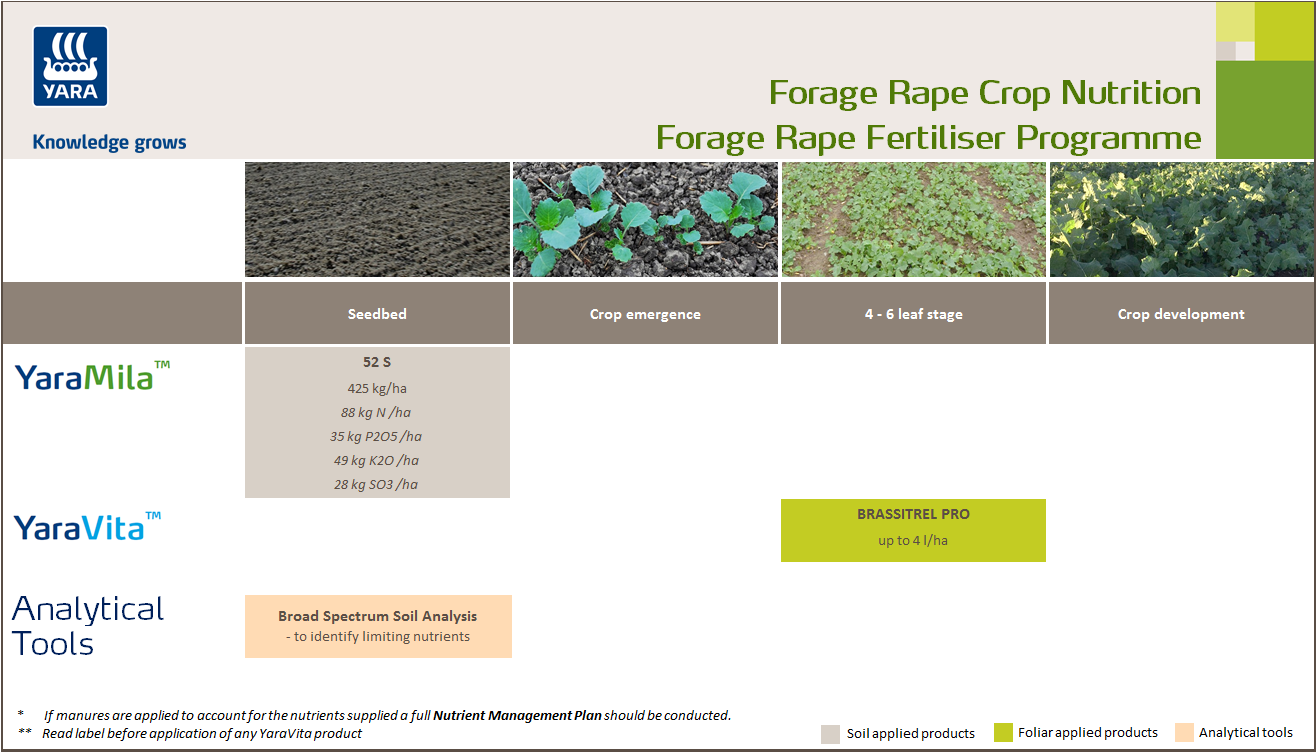Forage rape fertiliser programme