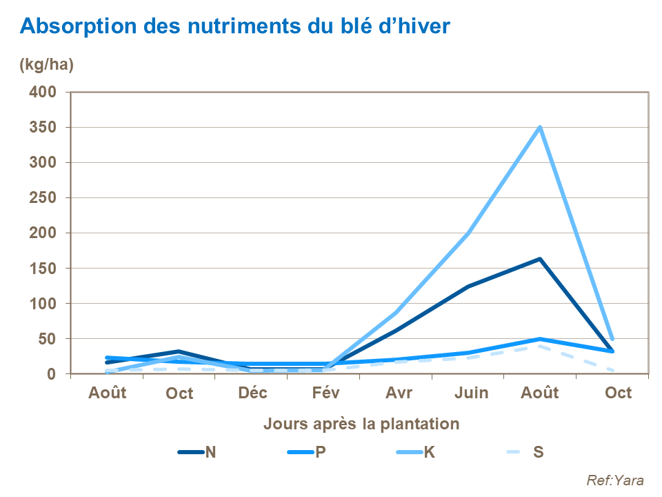 FR - nutrent uptake in wheat.png