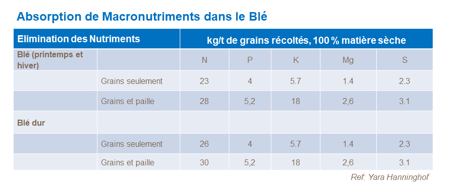 FR - macronutrient uptake in wheat.png