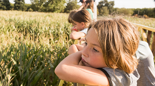 야라 한 눈에 보기