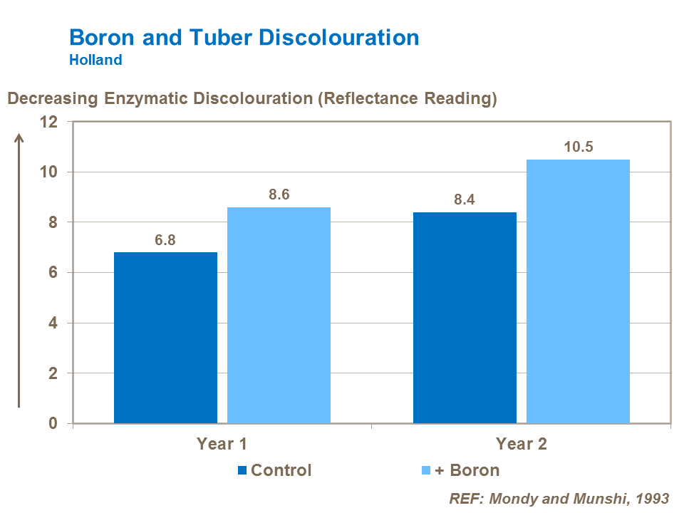 Boron and potato tuber discolouration