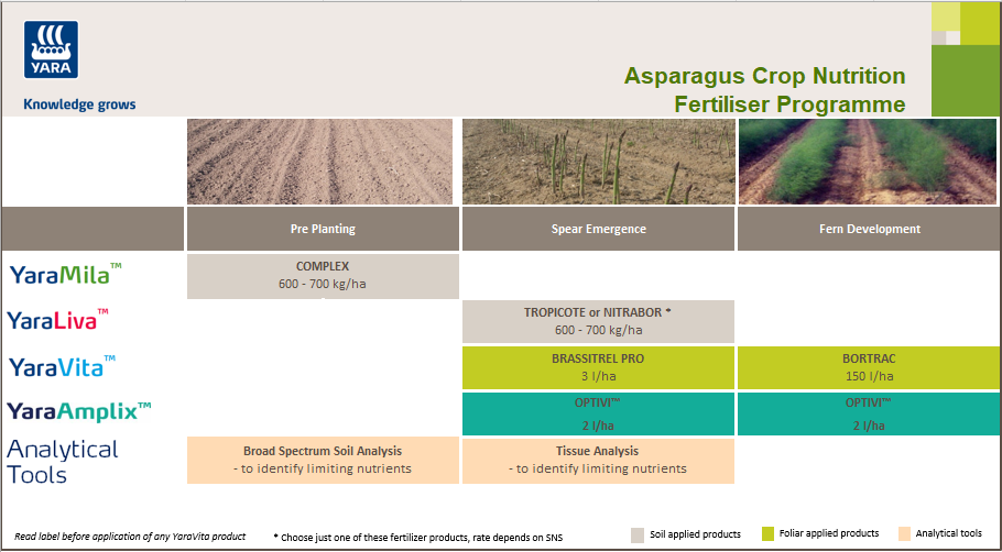 Asparagus crop programme