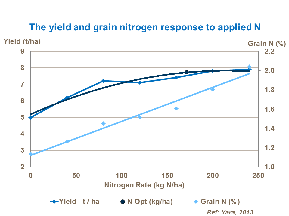 The yield and grain nitrogen response to applied N