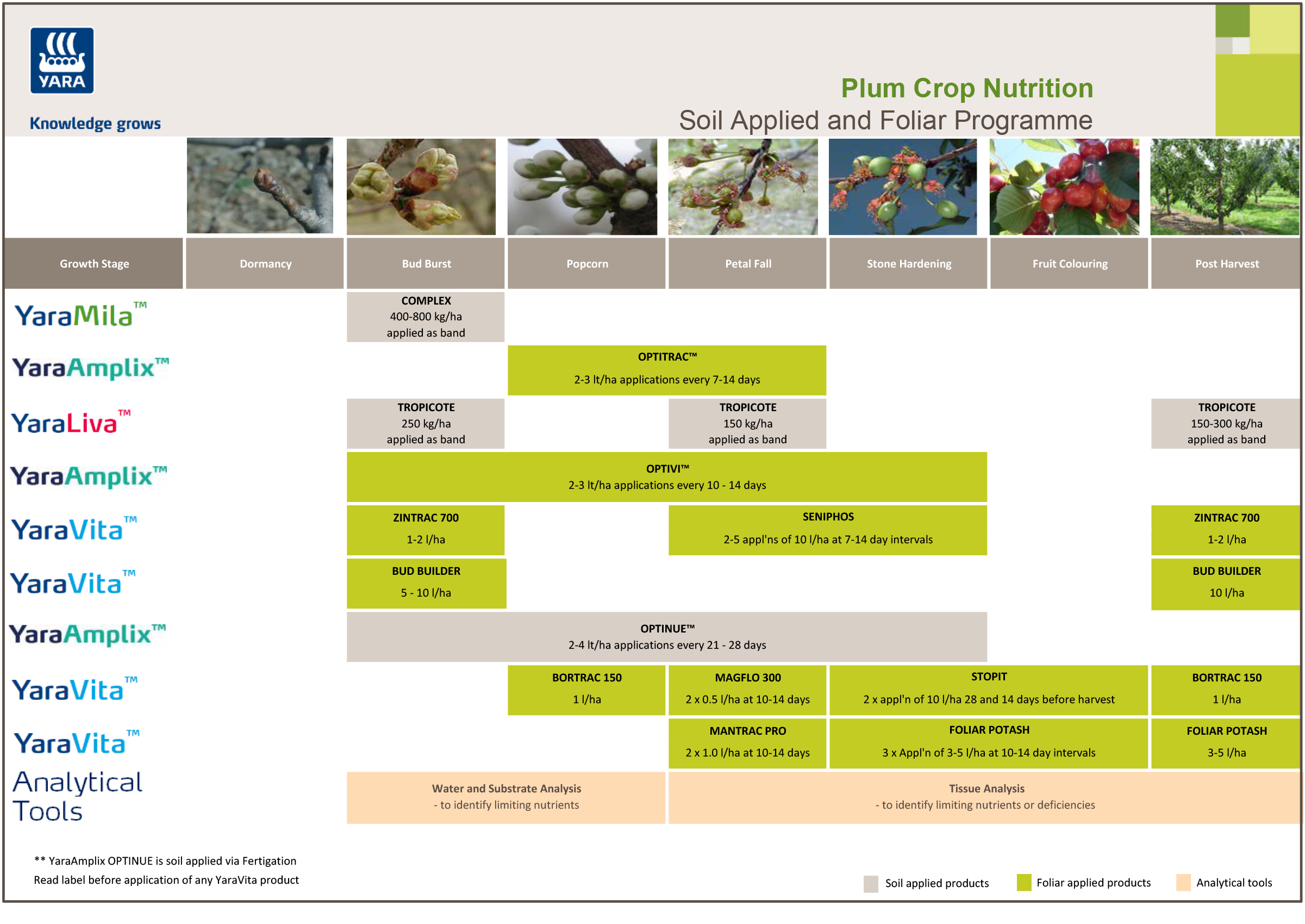 Plum fertiliser programme