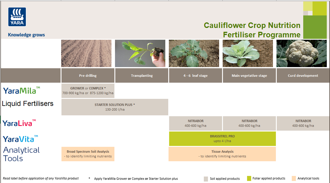 Cauliflower fertiliser programme