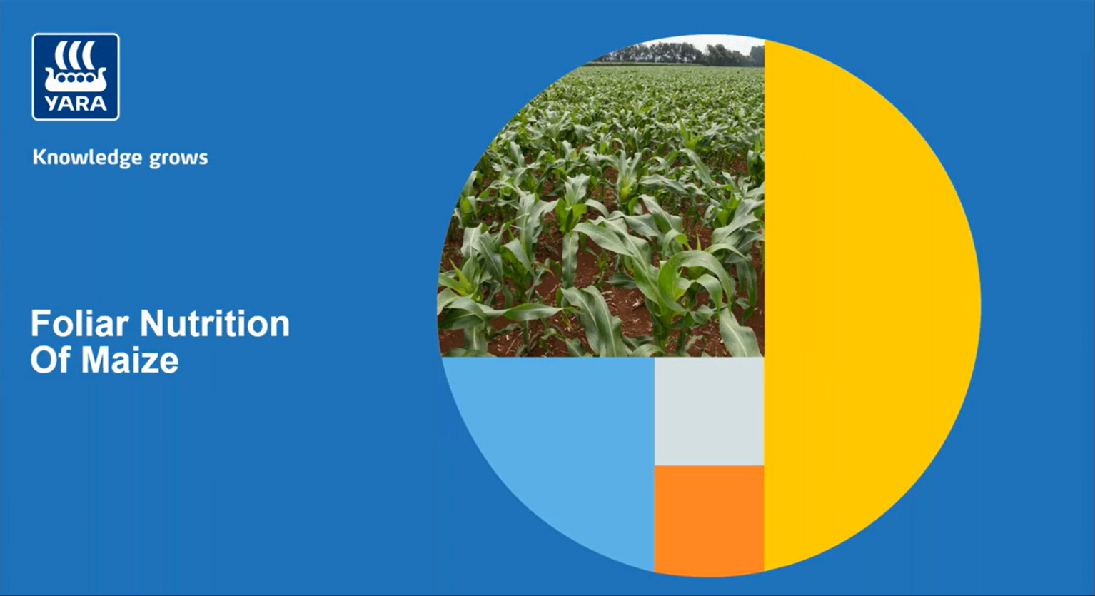 Cover of the foliar nutrition of maize webinar 