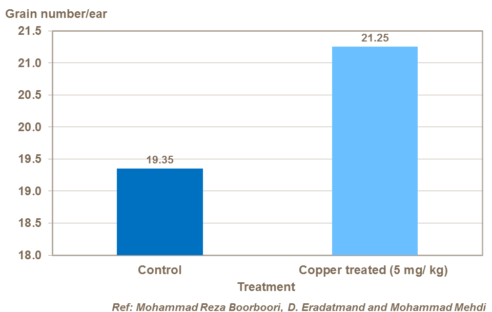 Effect of copper on barley grains per ear
