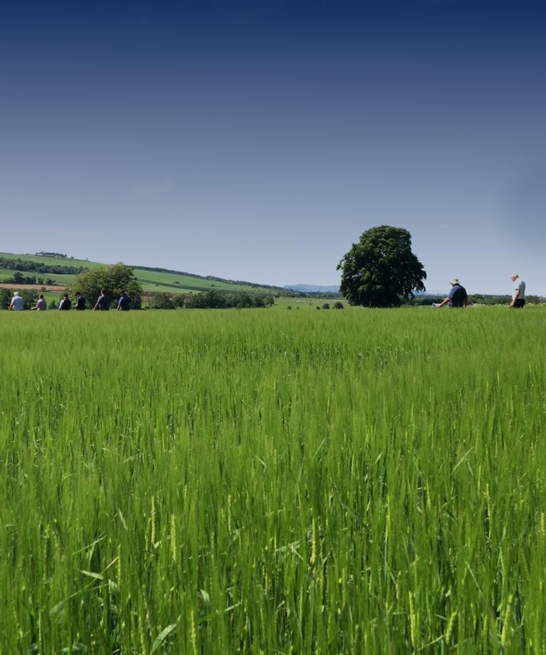 YaraVita Mantrac Pro