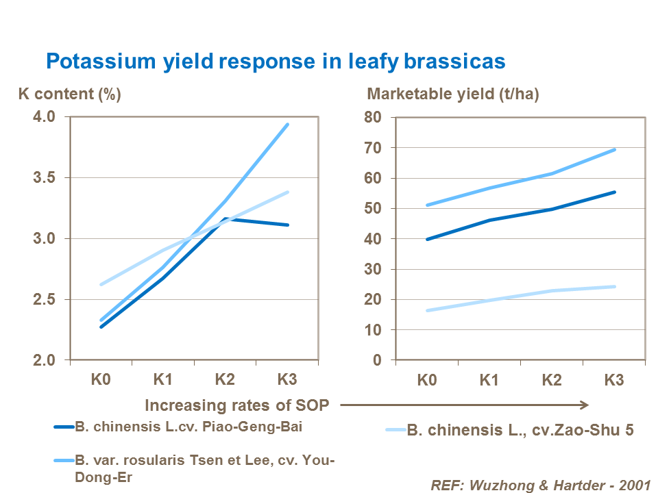 Potassium yield response in cauliflower