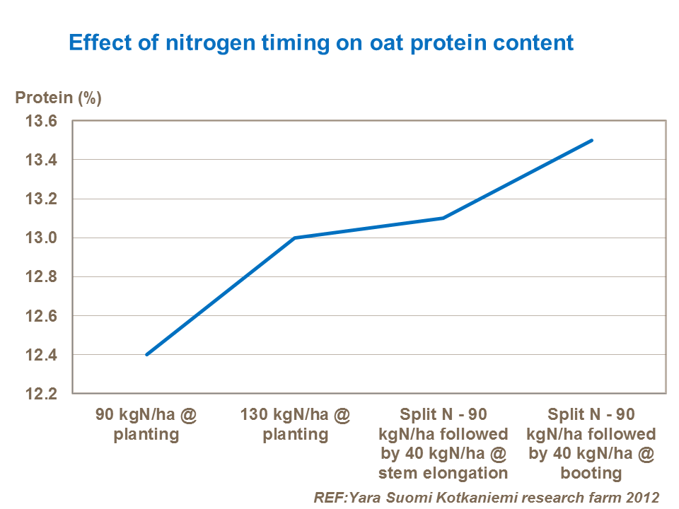 Effect of nitrogen timing on oat protein content