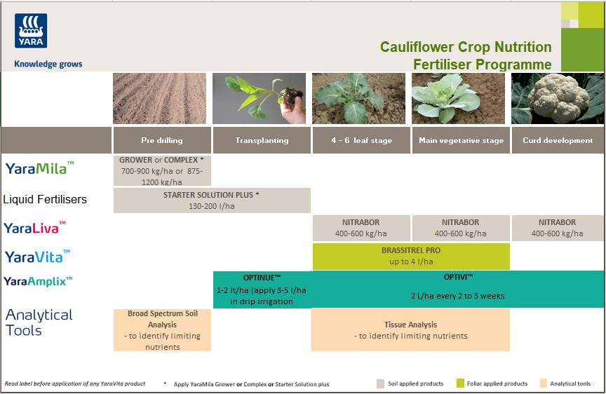 Cauliflower crop nutrition programme