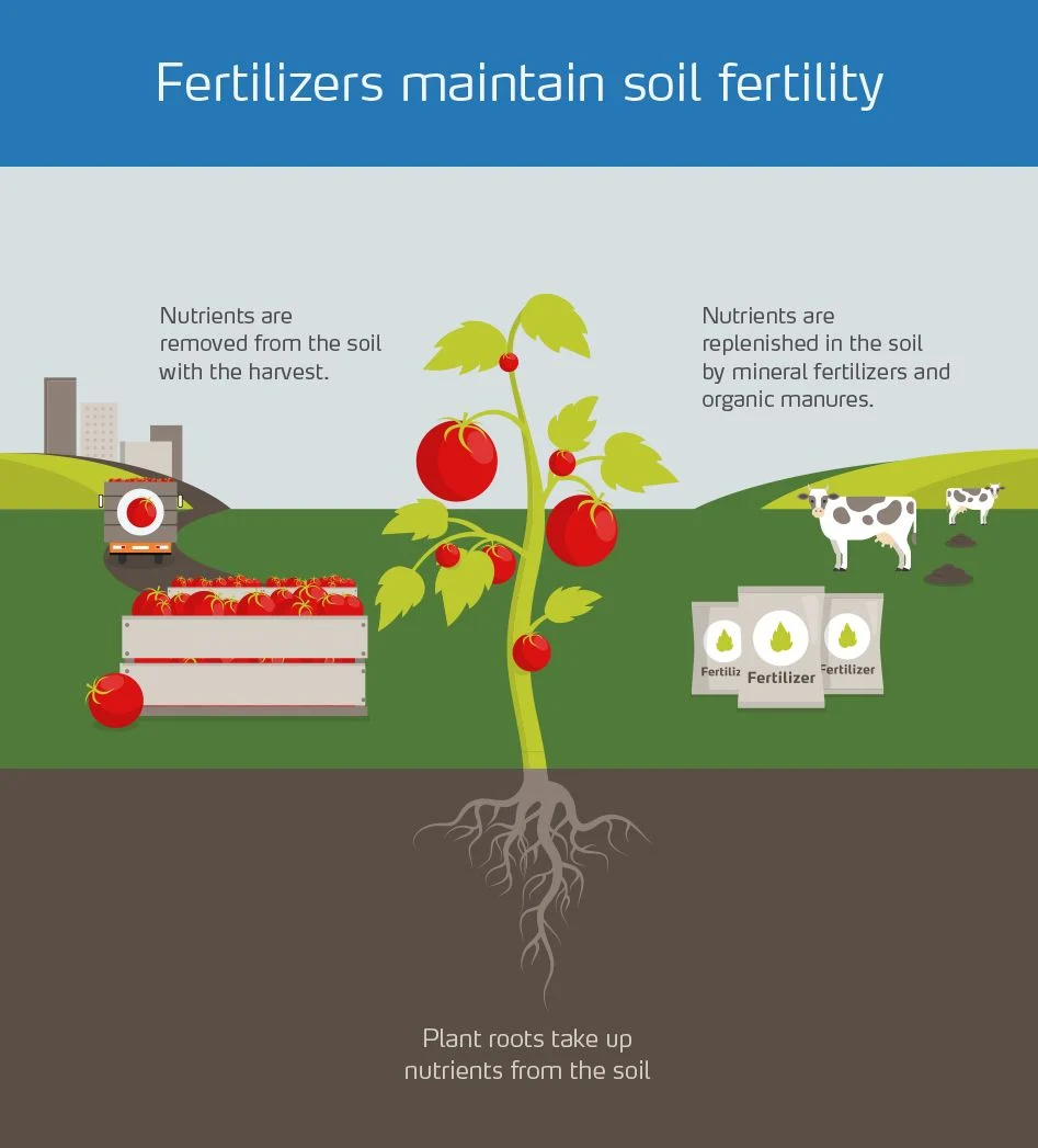 Graphical image of fertilisers which maintain soil fertility