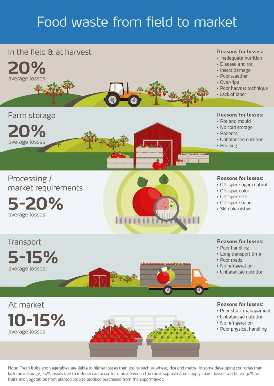 Food waste infographic 