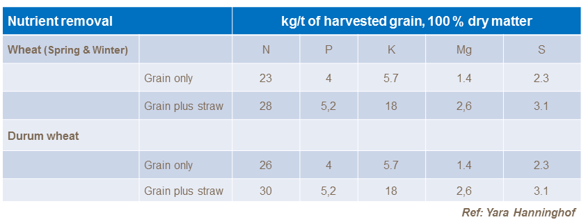 Macronutrient offtake in winter wheat