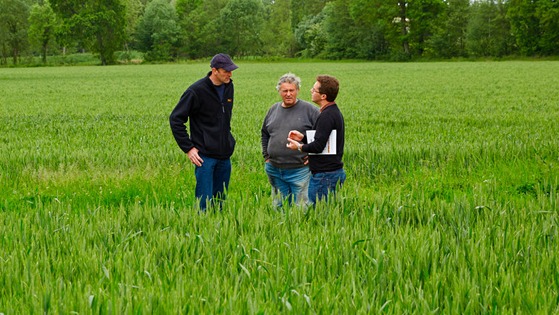 Managing nutrients to get maximum use efficiency