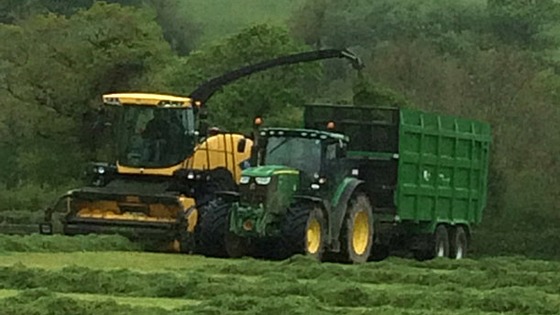 Topping up potash this autumn on grass