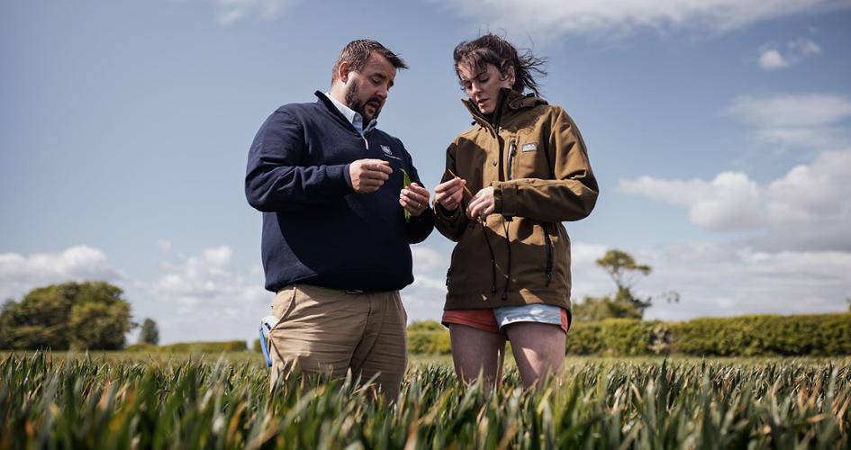 Yara Agronomist and Farmer reviewing a crop in a field 